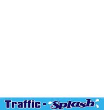 Traffic-Splash Dolphin